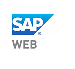 SAP 10 Web